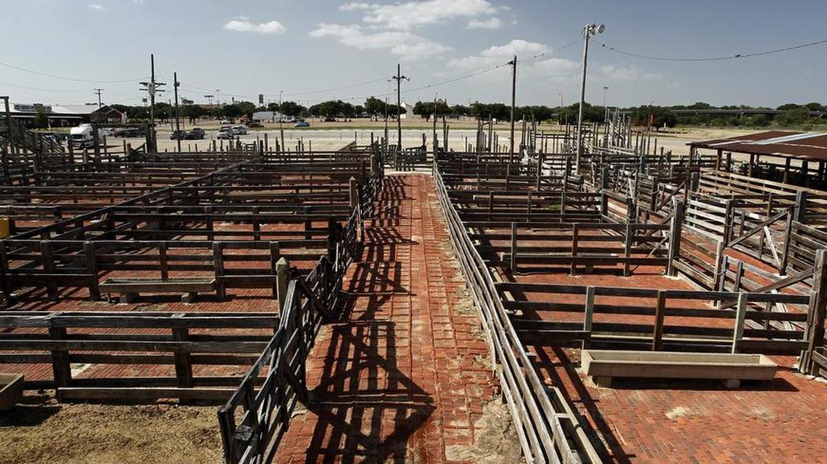 Blocks of old, tumbledown cattle pens were left over after the Fort Worth Stockyards cattle market closed in 1992.