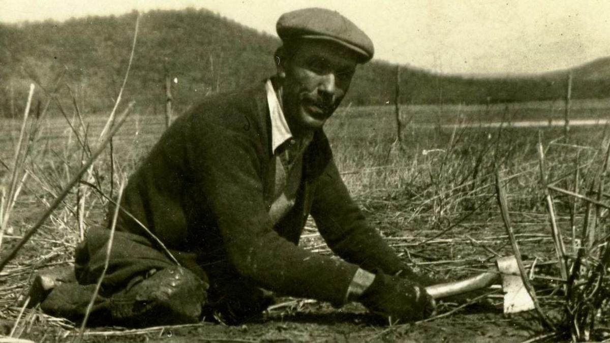 Frankie Brierton of Santo (1899-1973), a street vendor disabled by spinal meningitis, matches the description of the man described in Willie Nelson’s “Pretty Paper”