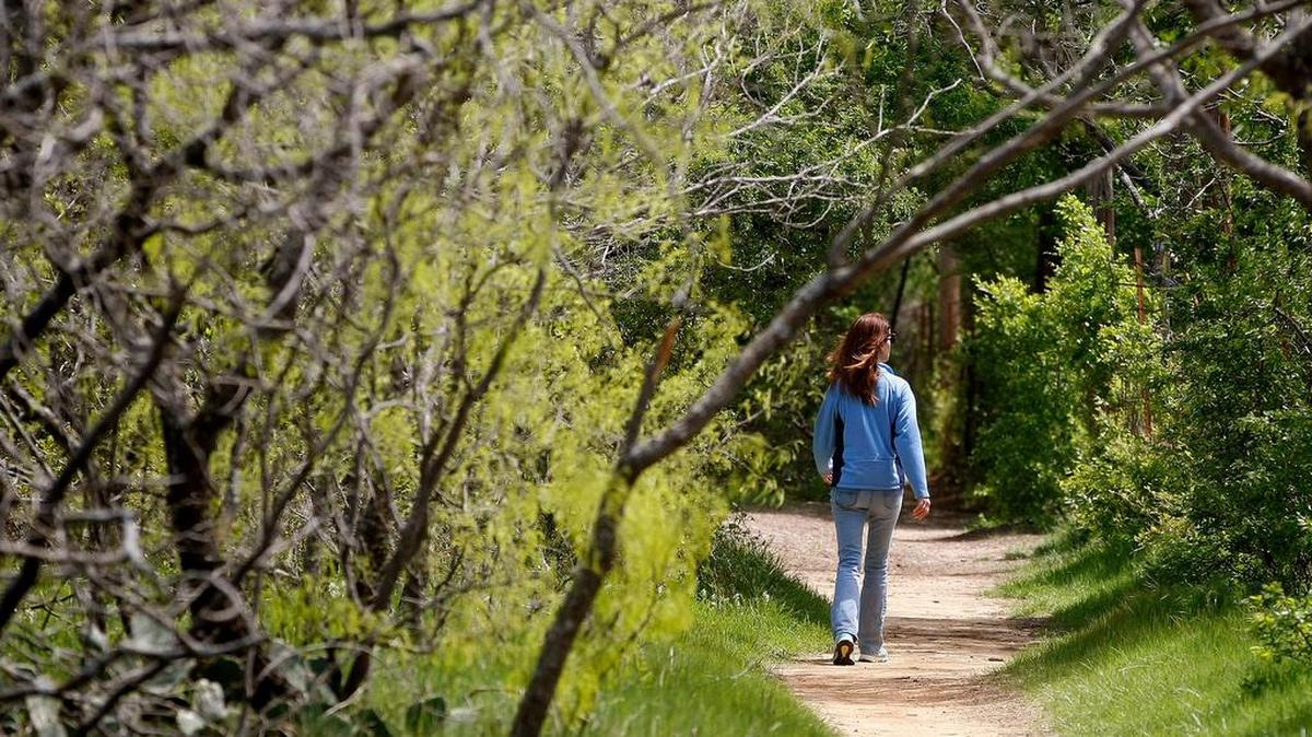 A visitor walks the Wild Plum trail at the Fort Worth Nature Center and Refuge in north west Fort Worth.