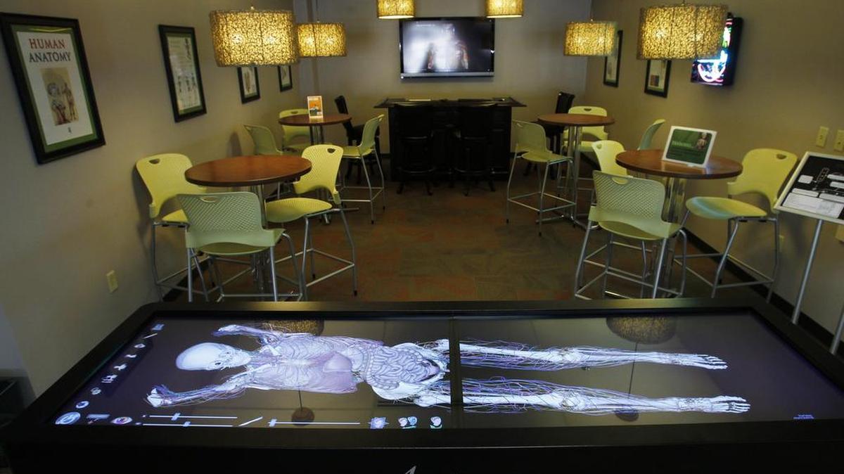 A computer skeleton can be rotated in any direction and viewed from endless angles and variations in the “Anatomy Bar” lounge in the library at the University of North Texas Health Science Center.