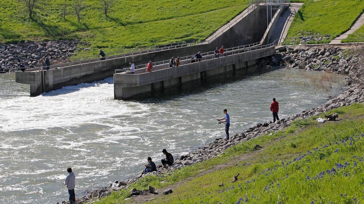 Fishermen and observers gathered Friday at the spillway of the Joe Pool Lake dam.