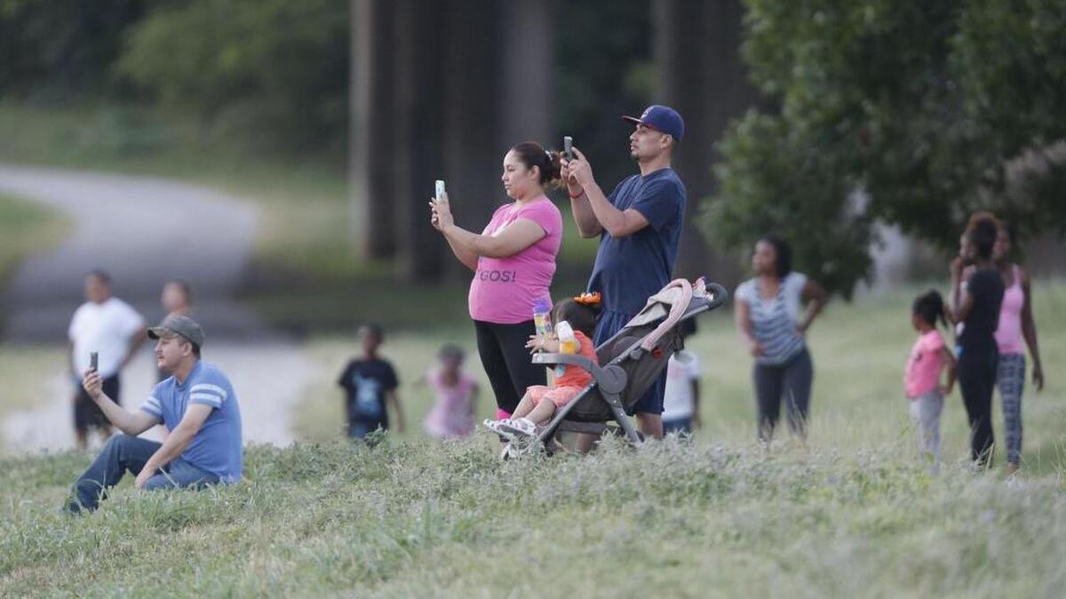 In 2015, a crowd gathered for the capture of ‘Hollywood,’ an escaped Nature Center alligator.