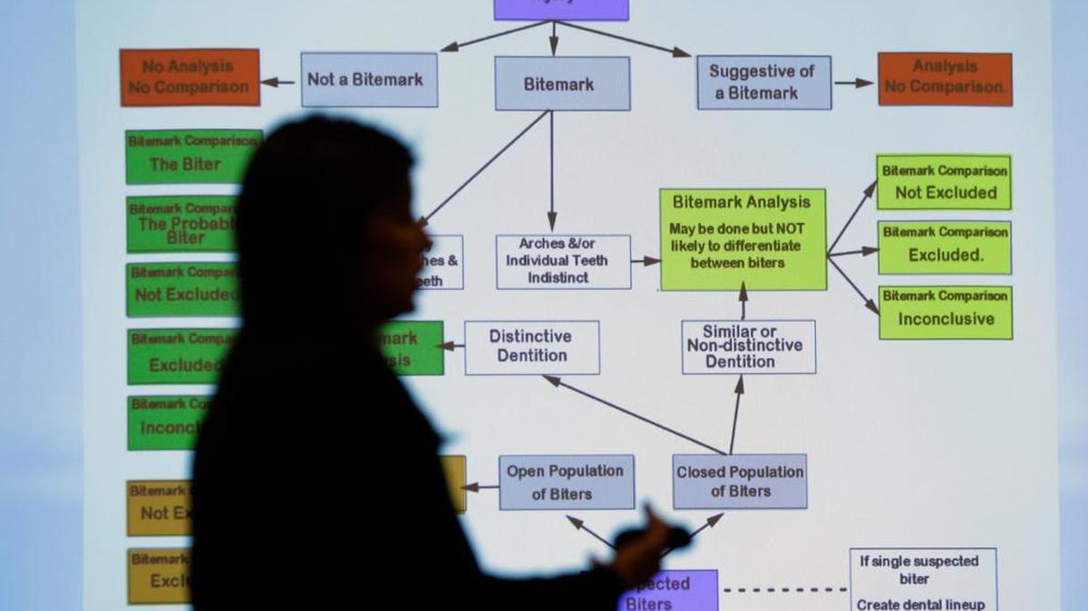 Lynn Garcia uses a chart as she takes part in a Texas Forensic Science Commission meeting to consider recommendations against using bite mark analysis in criminal cases, Thursday, Feb. 11, 2016, in Austin, Texas. The commission moved forward with the recommendation that bite mark evidence not be used pending further research.