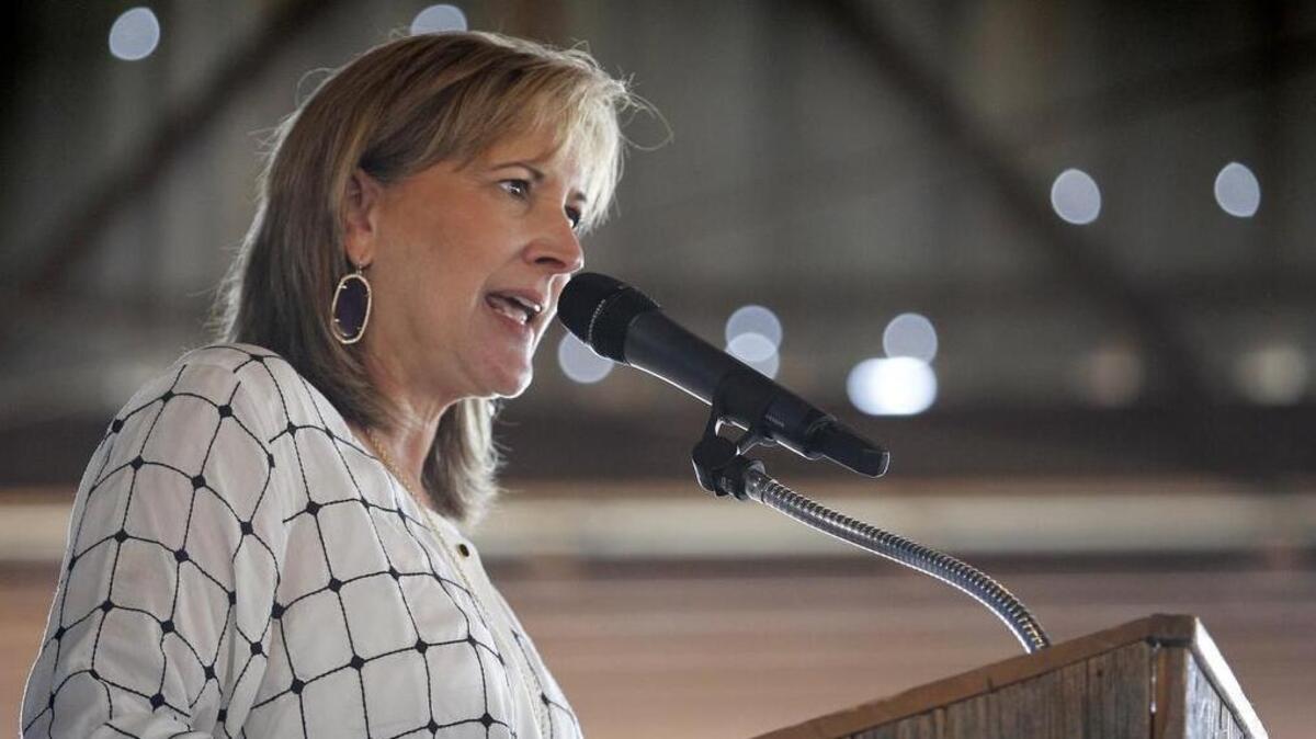 State Sen. Konni Burton is running for re-election in Texas Senate District 10.