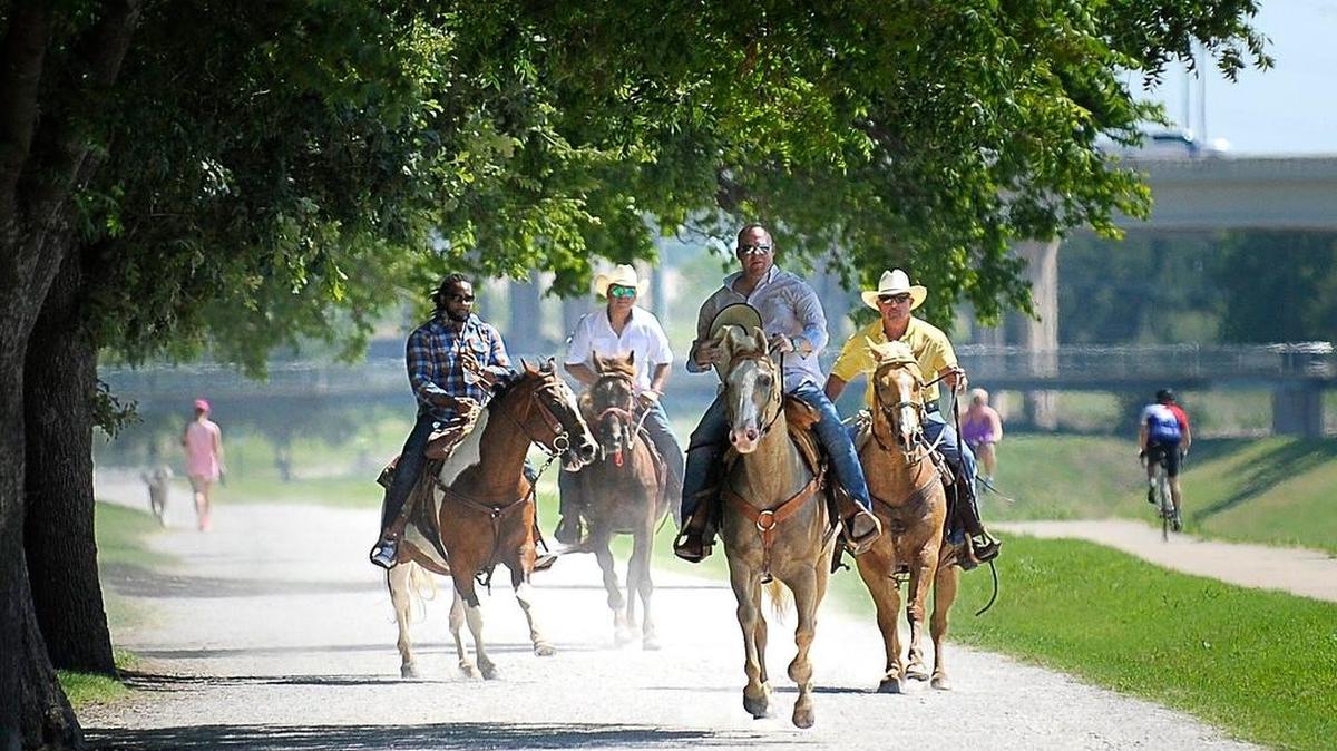 Andy Williams, Joel Medina, Chis Campbell and Steve Sexton, from left, ride their horses on the Trinity Trail in Fort Worth.