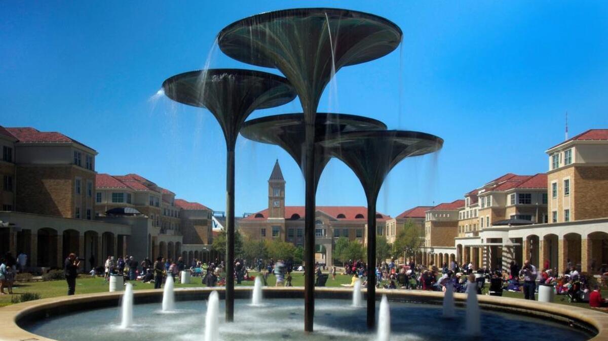 Frog Fountain