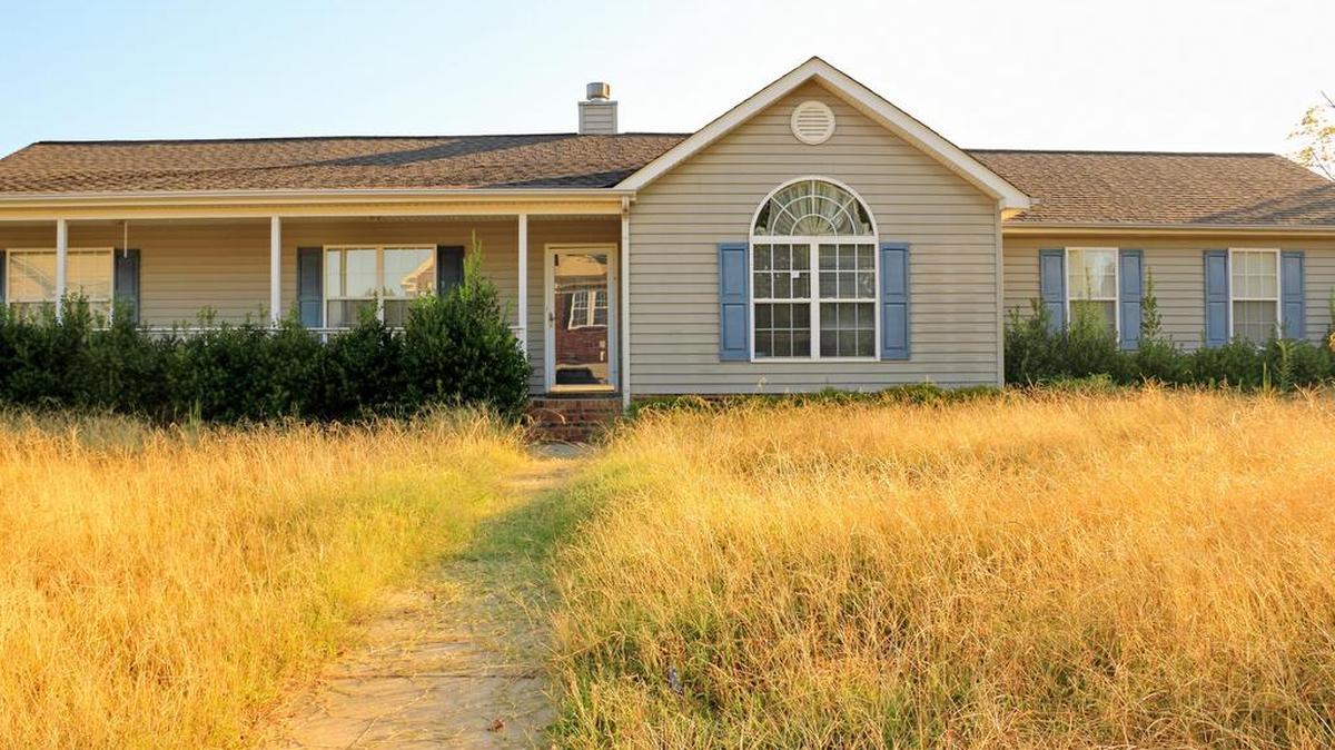 High grass or weeds are common city code violation complaints.