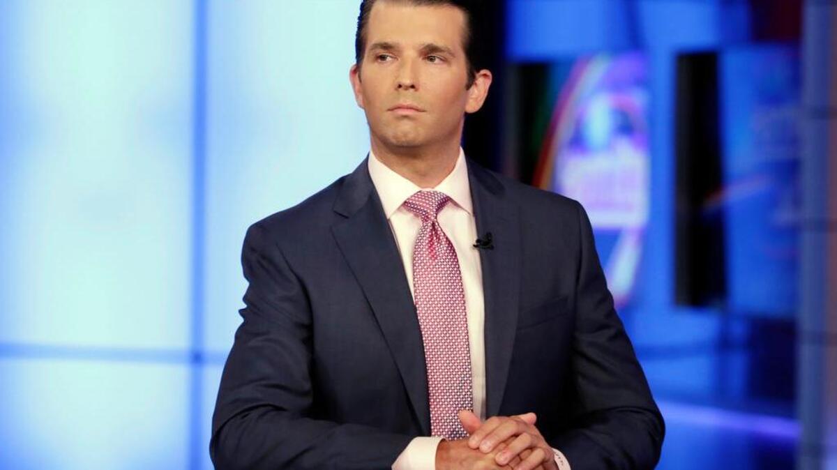 Donald Trump Jr. is interviewed by host Sean Hannity on the Fox News Channel television program, in New York earlier this year.