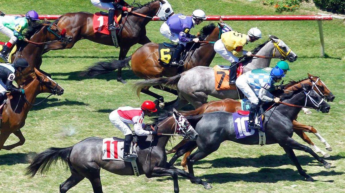 
Horses race at Lone Star Park in Grand Prairie. 
