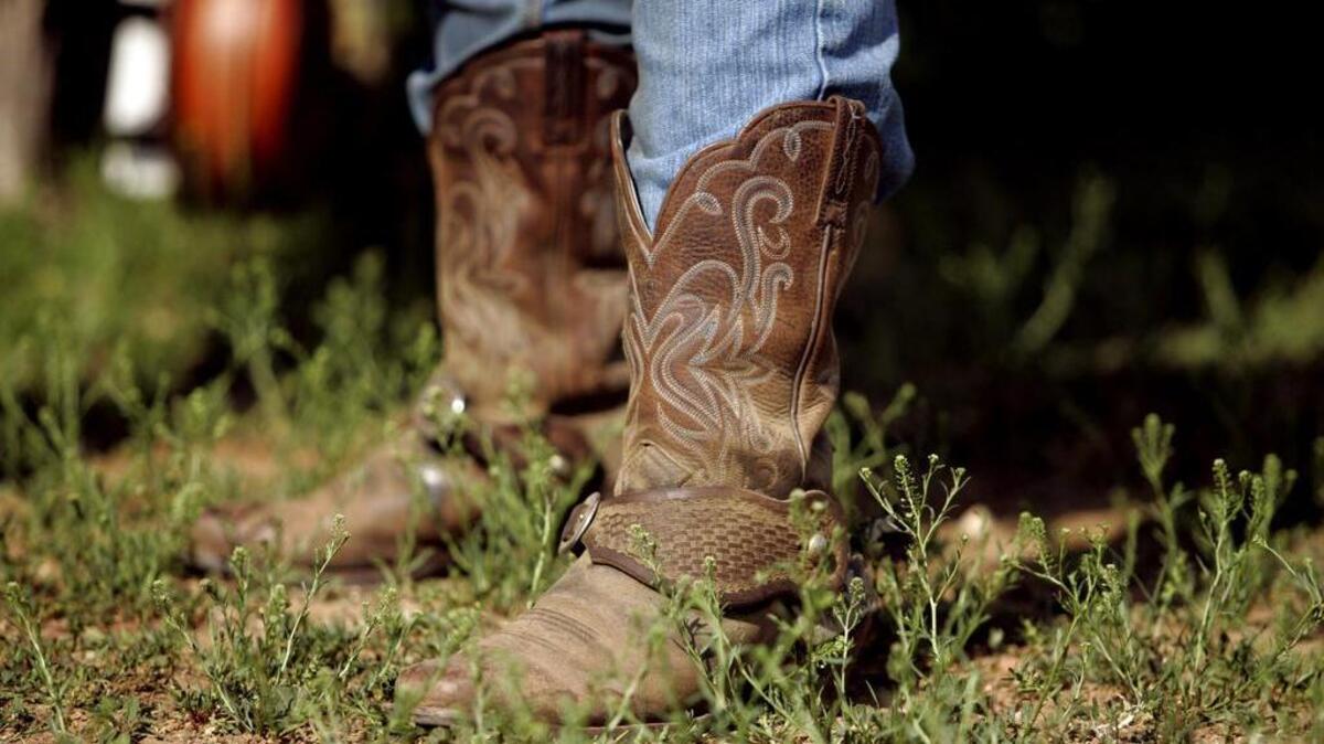 After being inspired by the movie Lonesome Dove, expedition leader James Locke of England decided to take a group of hardy horsemen and women on a journey retracing some of the old cattle trails from Texas to Montana. The journey is expected to cover about 2,000 miles and last for six months.
