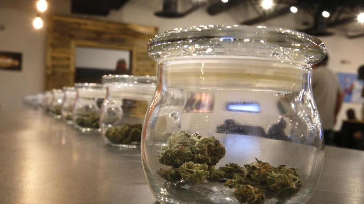 Twenty three states allow medicinal use of marijuana.