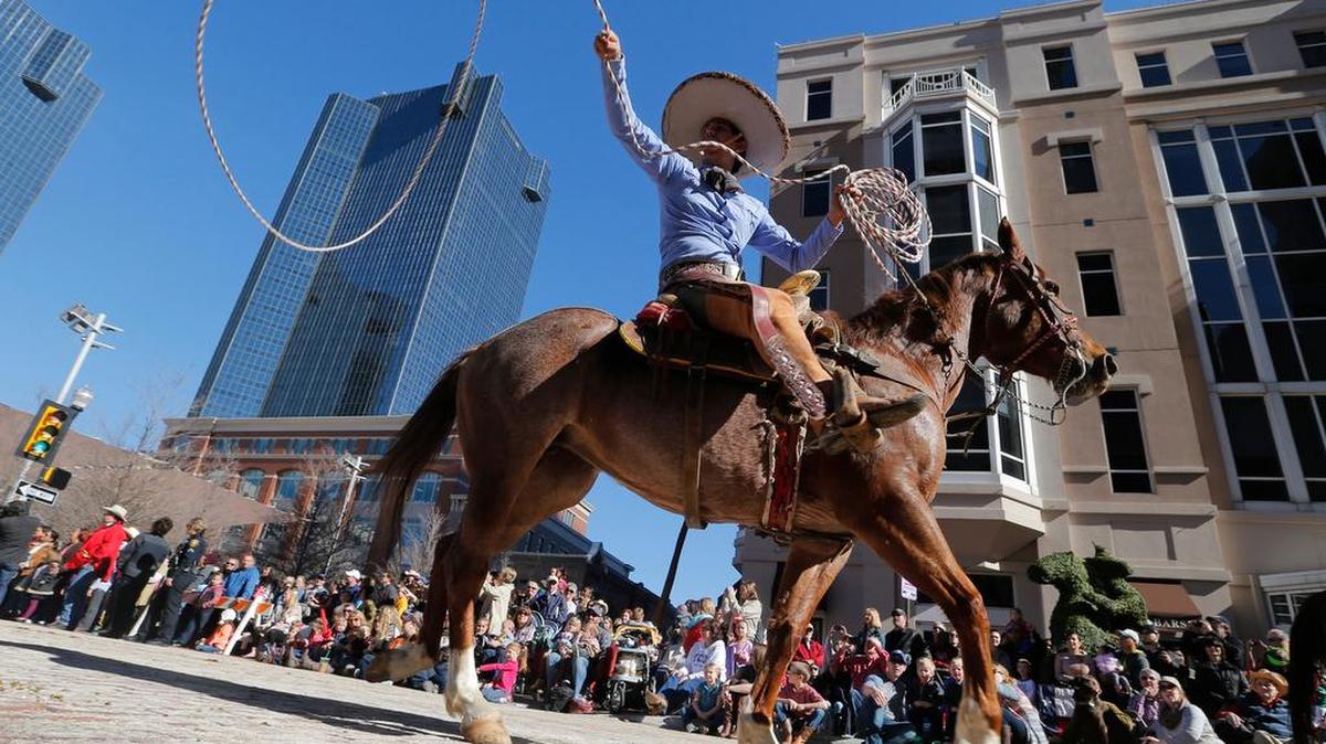 Hundreds of horses and riders participate in the Stock Show Parade in downtown Fort Worth, Saturday, January 17, 2015.