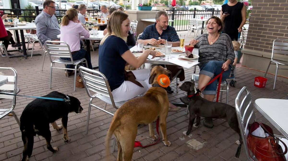 Know how your dog will react to strange canines before bringing them to the restaurant.