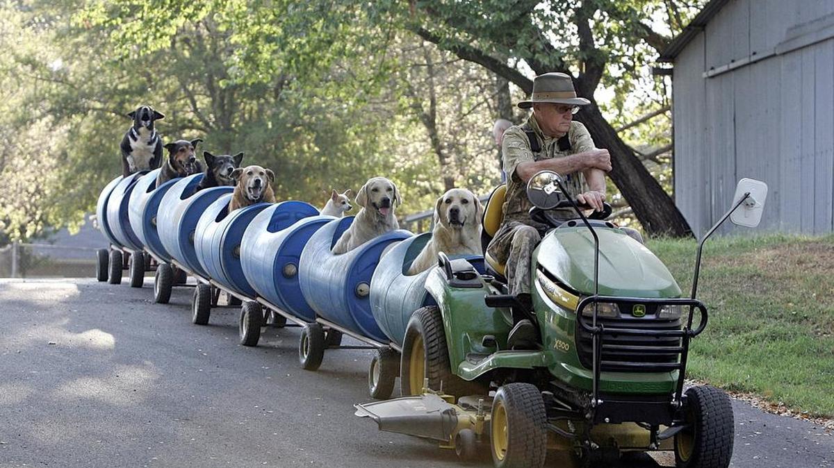 Eugene Bostick drives his homemade train full of dogs around the neighborhood in September in Fort Worth.