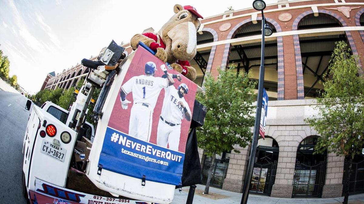 Texas Rangers mascot Captain rolls up an extra postseason banner depicting Elvis Andrus and Prince Fielder that will hang in anticipation of the Rangers beginning play in the American League Division Series on Oct. 7, 2015, at Globe Life Park in Arlington. Banners will be hung on 84 poles around the ballpark.