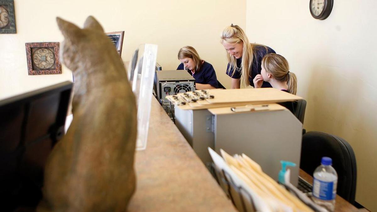 Stacey Taylor (cq), center, works with two of her vet techs, Amanda Elliott, left and Martha Roberts, right, at the Fort Worth Low Cost Spay and Neuter Program's new facility in Fort Worth on Westport Parkway.