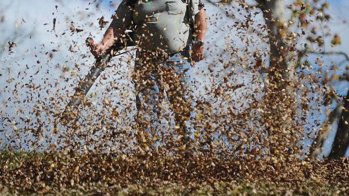 How one Hilton Head neighborhood is working to end friction over leaf blowers
