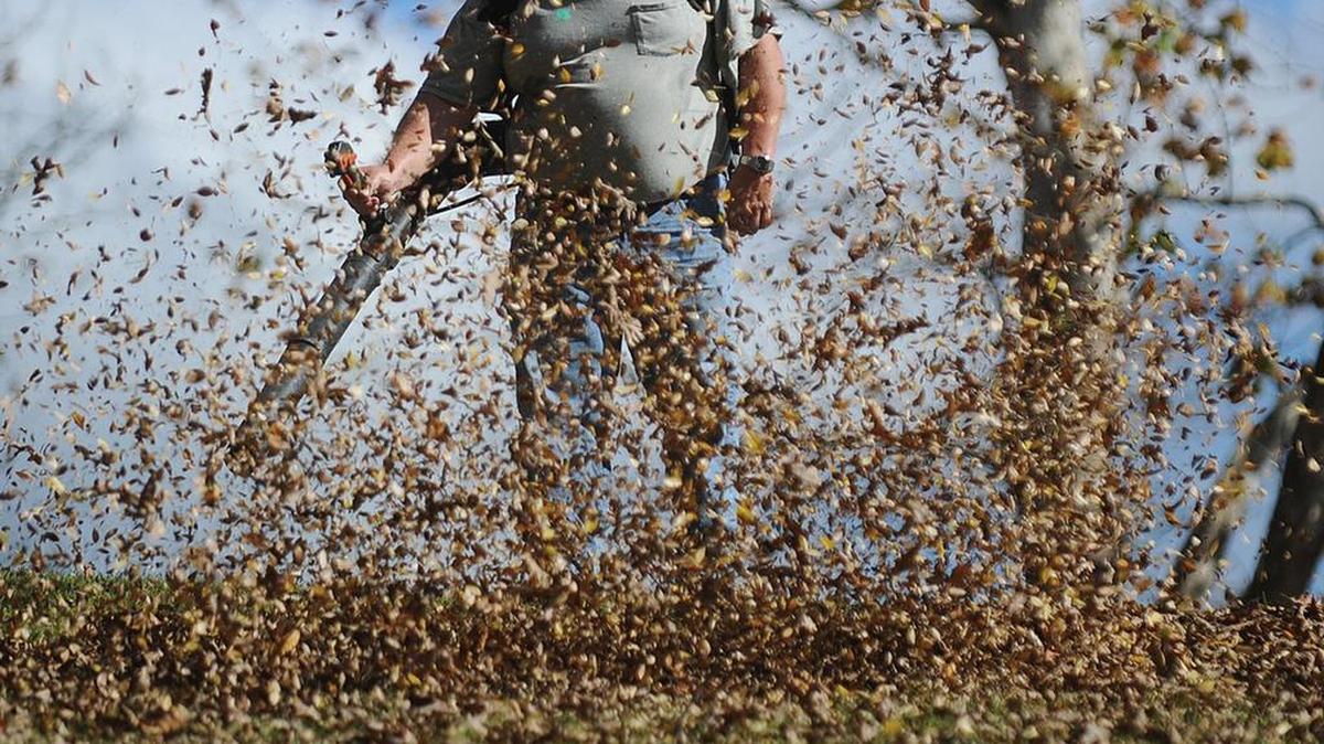 Teddy Morrison uses a leaf blower Wednesday Nov. 4, 2015, at Armco Park in Ashland, Ky. preparing for next weeks Veterans Day service. (Kevin Goldy/The Daily Independent  via AP)