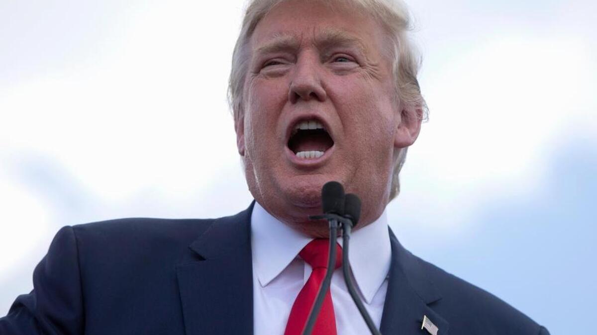 
Republican Donald Trump speaks on Capitol Hill in Washington. 
