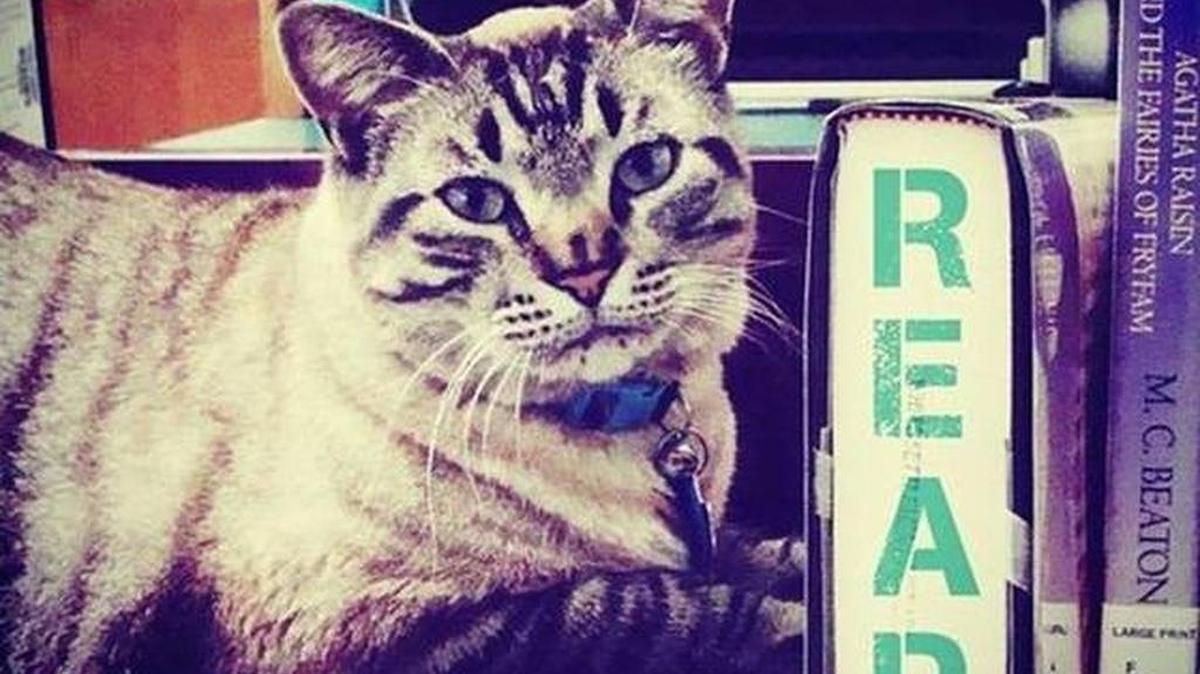 Browser has his own Facebook page.
