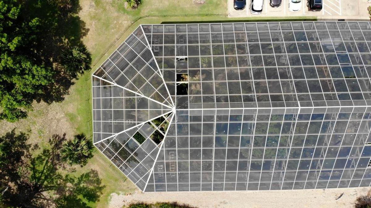 The Fort Worth Botanic Garden is in need of $15 million in repairs. An admission fee is on of the proposals to help eliminate the repair bill. This is the conservatory, showing missing windows.