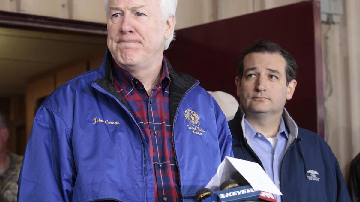 
U.S. Sens. John Cornyn, left, and Ted Cruz of Texas speak with reporters in 2013. 
