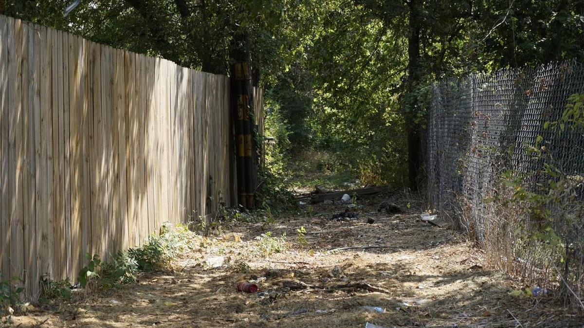 
This alley off New York Avenue is cleared near the street but overgrown further along its route. Councilwoman Kelly Allen Gray wants a new ordinance on maintaining alleys.
