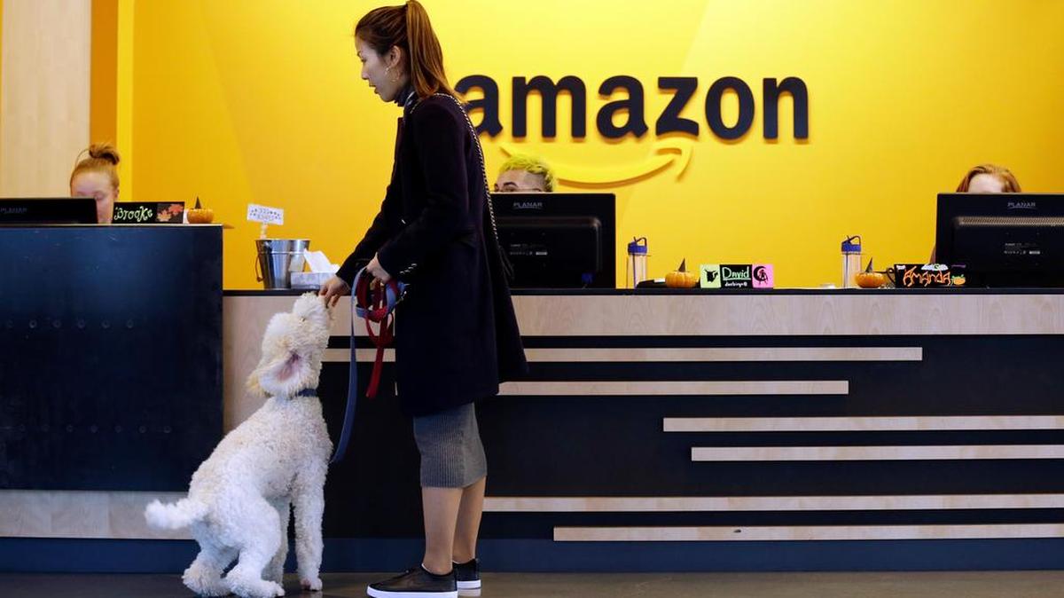 An Amazon employee with her dog in Seattle. Amazon says it received 238 proposals from cities and regions hoping to be the home of the company's second headquarters.