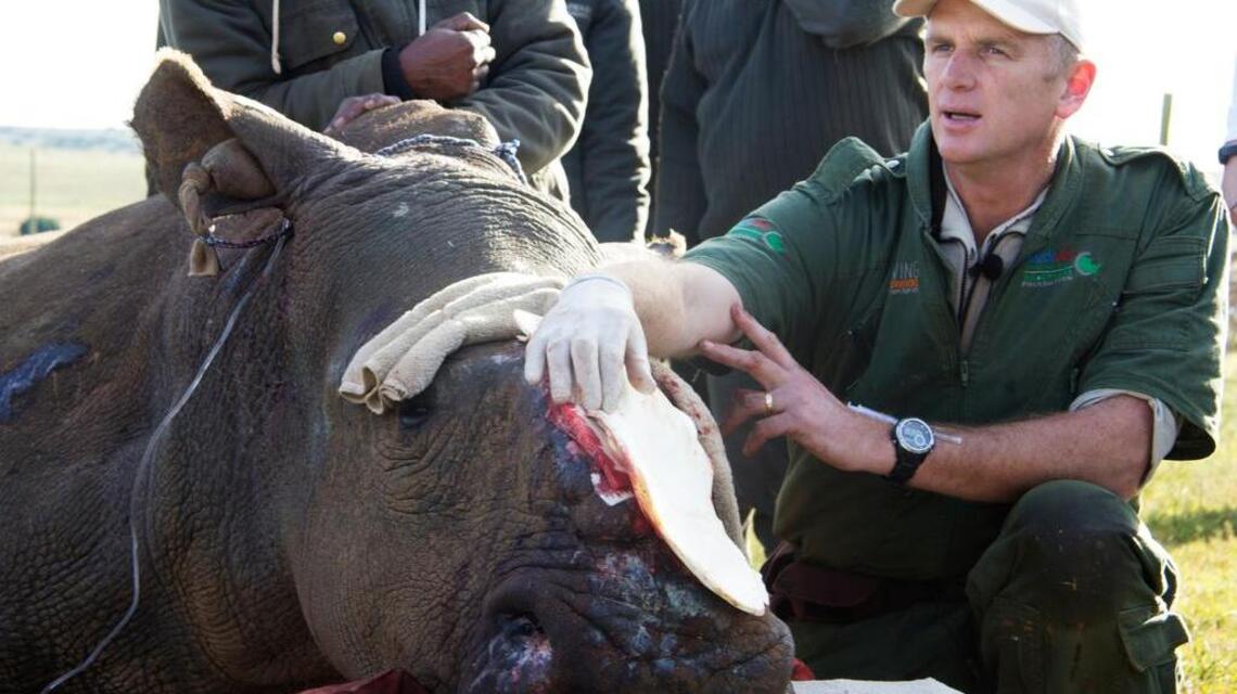 TCU has become ‘full-fledged’ leader in protecting endangered African rhinos. How?