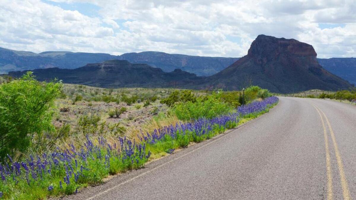 
Big Bend National Park, April 13, 2015
