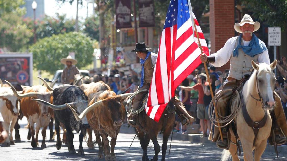 The Fort Worth Herd walks down Exchange Avenue during the Day of the American Cowboy celebration in July.