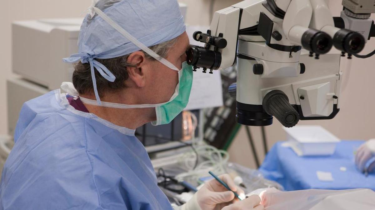 Insured patients don’s shop around for prices and are more likely to receive treatments they don’t need.