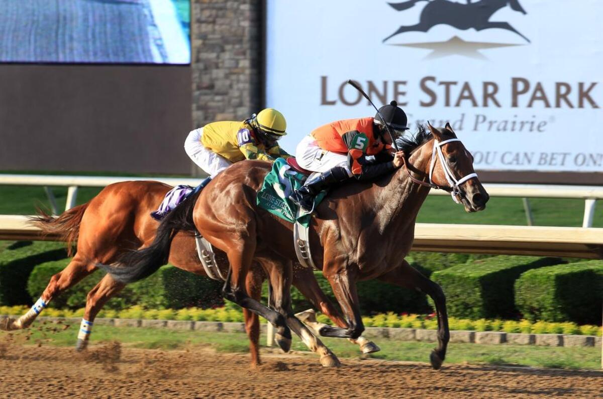 Racing at Lone Star Park at Grand Prairie. (File photo)