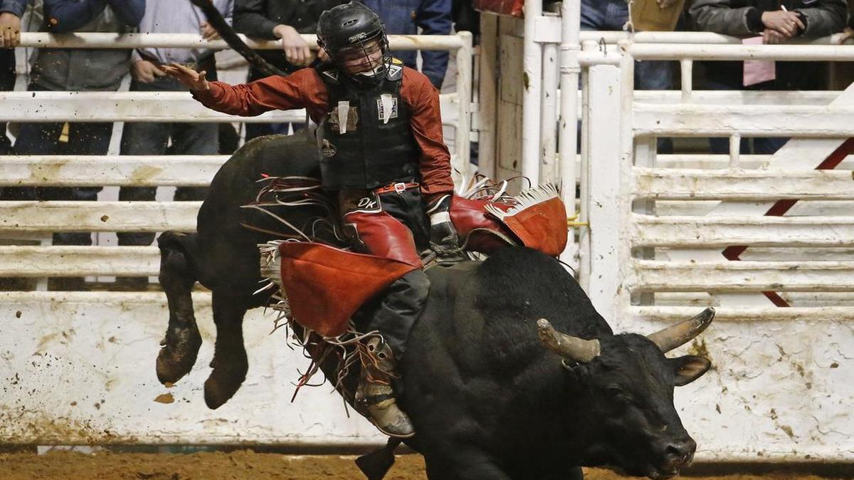 Derek Kolbaba competes during the Bulls’ Night Out last January at the Fort Worth Stock Show Rodeo. This year’s competition continues at 7:30 p.m. Wednesday at Will Rogers Memorial Coliseum.