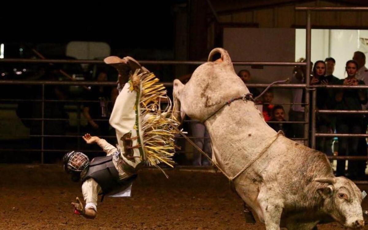 Daylen Powell says there’s nothing like the rush of riding a one-ton animal that doesn’t want you there.