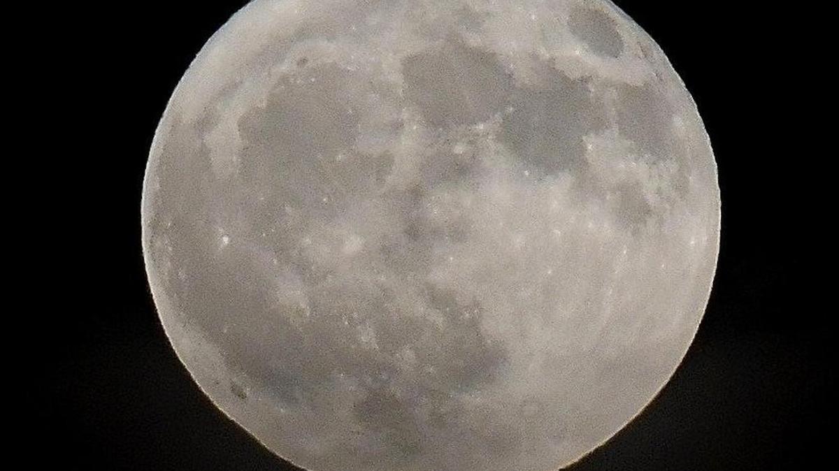The Buck Supermoon will appear about 7% larger than a typical full moon, the Almanac says. Here’s when those in St. Louis and southwest Illinois will get the best view.