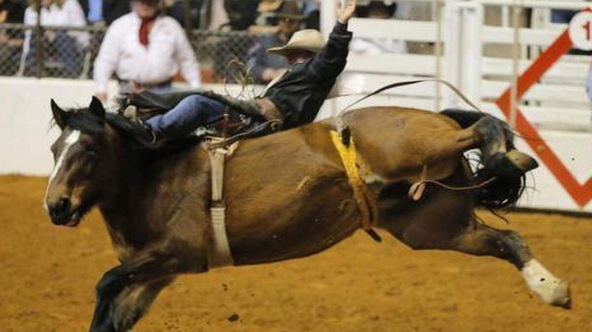 
Will Lowe, of Canyon, Texas, scores 67 on Showdown in bareback bronc riding at the Fort Worth Stock Show Rodeo in Will Rogers Coliseum, Saturday, January 31, 2015.
