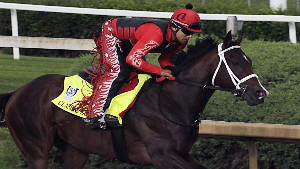 Classic Empire, the early Kentucky Derby favorite at 4-1, gallops during a workout Wednesday at Churchill Downs in Louisville, Ky. Coverage of Saturday’s first leg of the Triple Crown begins at 1:30 p.m. on NBC (KXAS/Ch. 5). Post time is set for 5:34.
