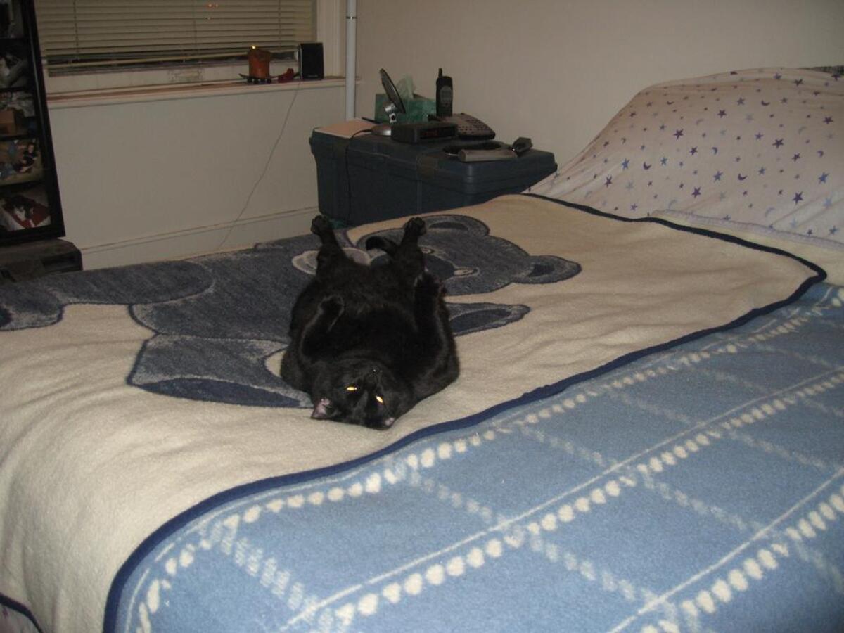 Fenway, who passed away late Friday night, loved to eat and sleep. He was 15.
