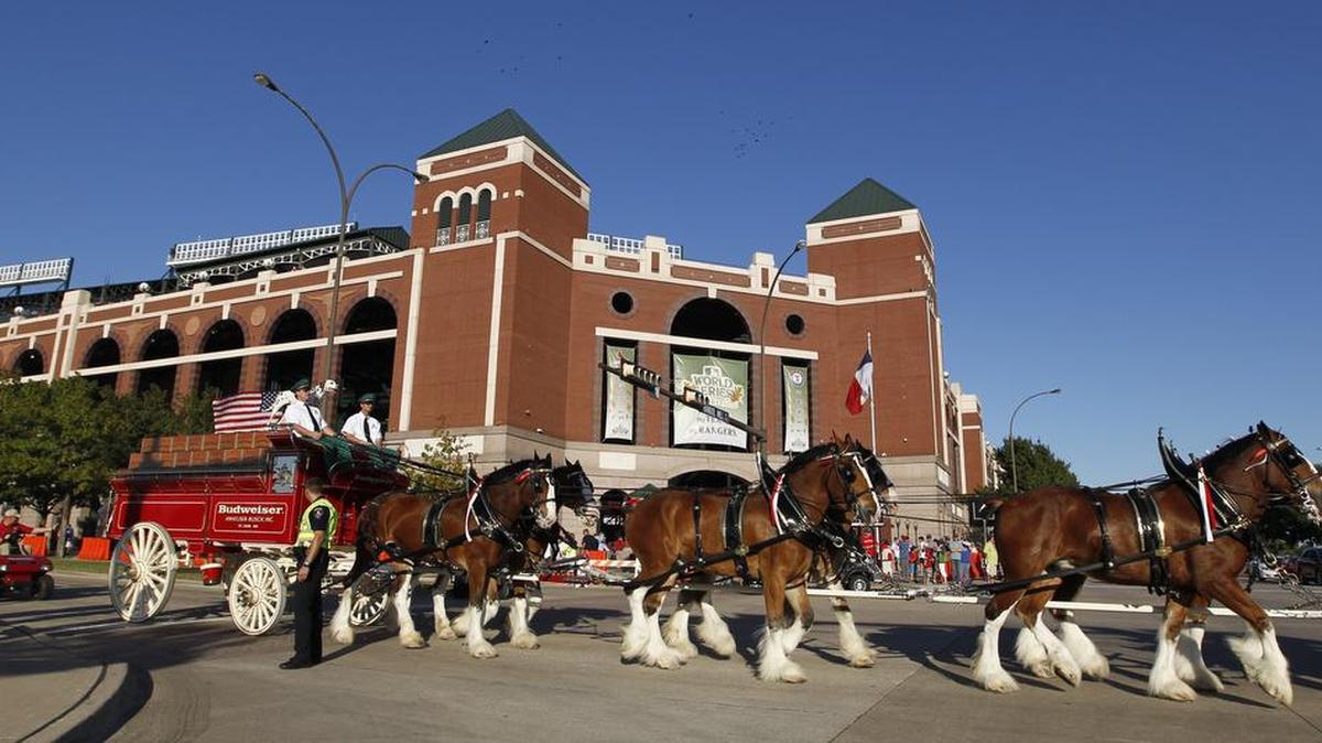 The iconic Budweiser Clydesdales will be at Victory Park before the Dallas Mavericks host Oklahoma City at the American Airlines Center Friday night in Dallas.
