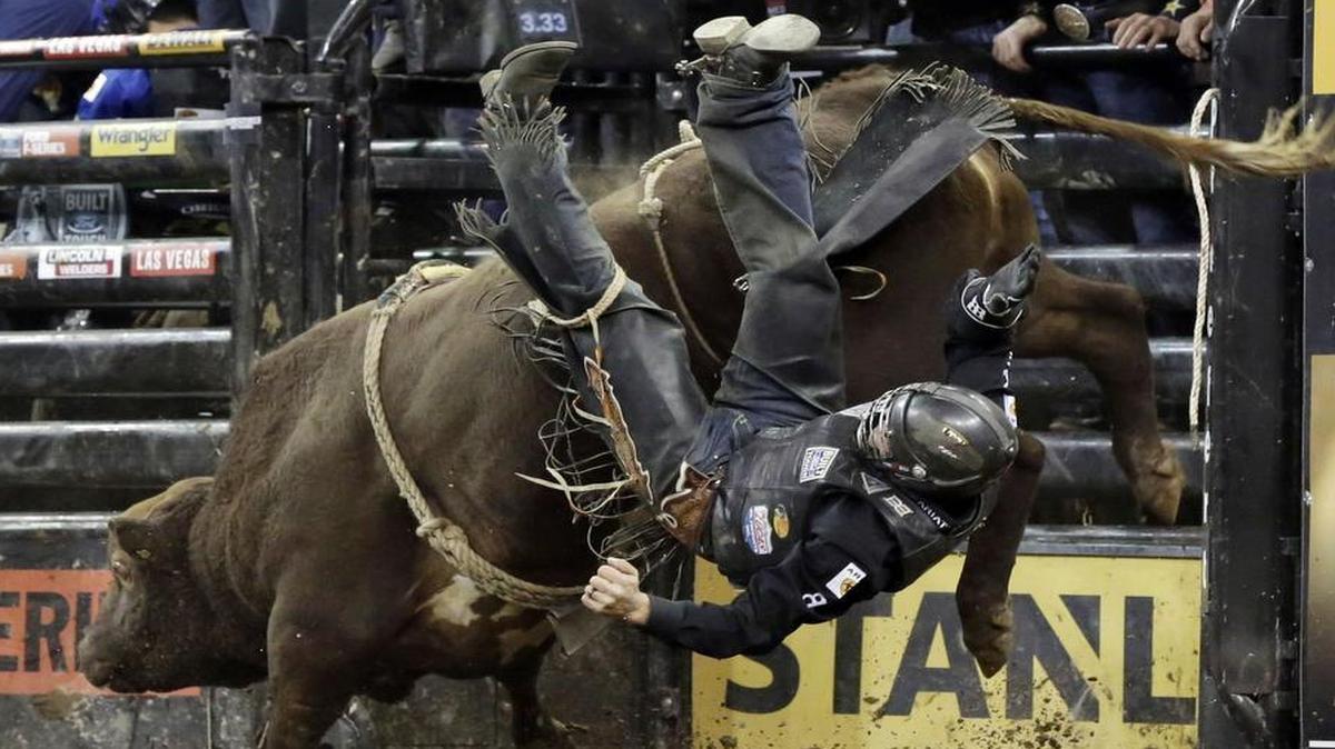 Markus Mariluch, from Elko, Nev., is thrown from Sasquatch during the Professional Bull Riders Buck Off, in New York's Madison Square Garden, Friday, Jan. 15, 2016.