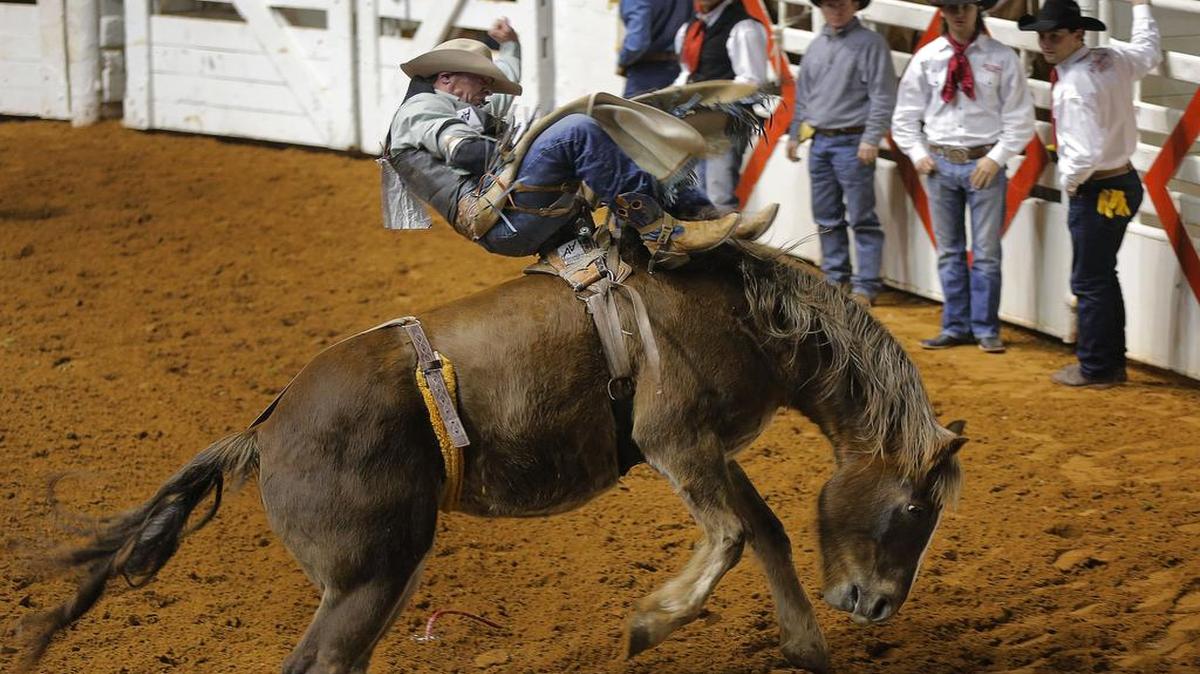 
Evan Jayne, of Marseille, France, scored bit at the Fort Worth Stock Show Rodeo in January.

