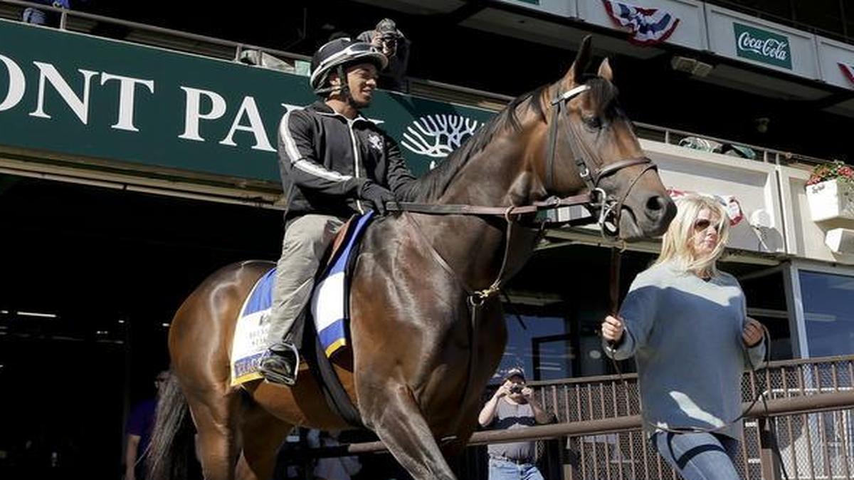 Belmont Stakes hopeful and Preakness Stakes winner Exaggerator, with exercise rider Jermal Landry up, is led out to the main track by assistant trainer Julie Clark at Belmont Park on Friday. Exaggerator will compete in the 148th running of the Belmont Stakes at 5:32 p.m. Saturday on NBC (KXAS/Channel 5).